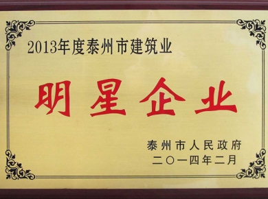 2013泰州市建築業(yè)明星企業(yè)